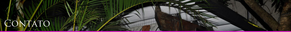 Contato