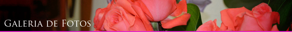Galeria de Fotos